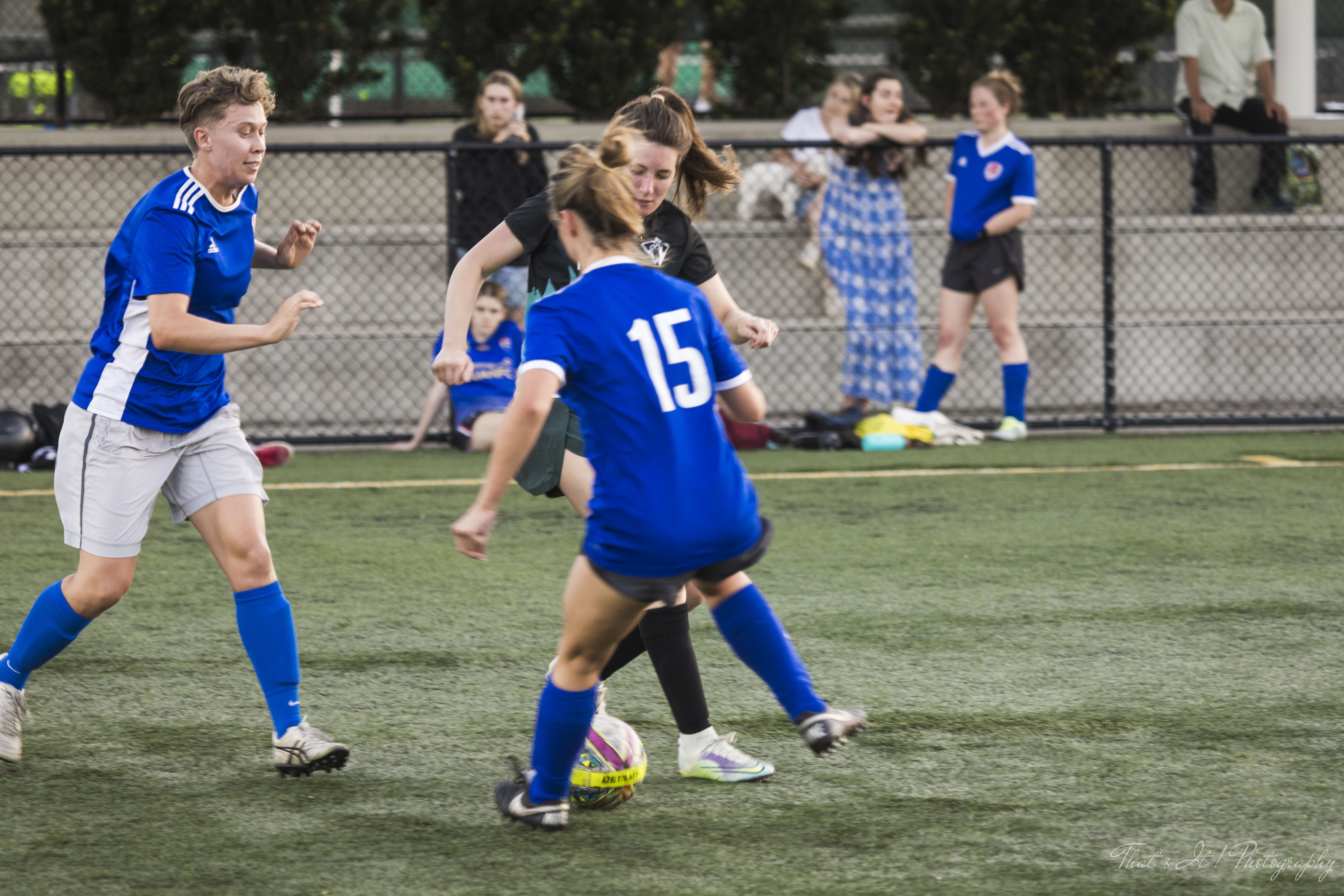 Inner West - Croydon Bellfield